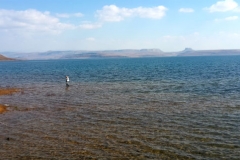 Futile attempt at flyfishing for yellows in the vastness of Sterkfontein