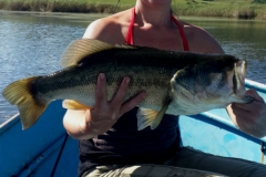 Yet another nice bass at Beacon Vlei