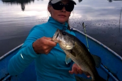 Another decent afternoon bass caught