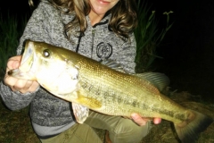 My biggest bass of the weekend caught while night fishing. Super exciting!