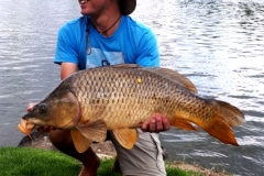 Martin's monster, and the biggest carp of the weekend