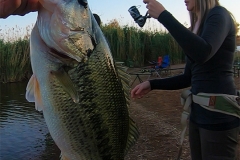 I caught this nice little bass in front of our chalet at Rietvlei Dam