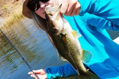 I also managed to catch a bass