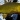Clanwilliam yellowfish