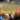 Largemouth yellowfish