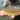 Smallmouth yellowfish