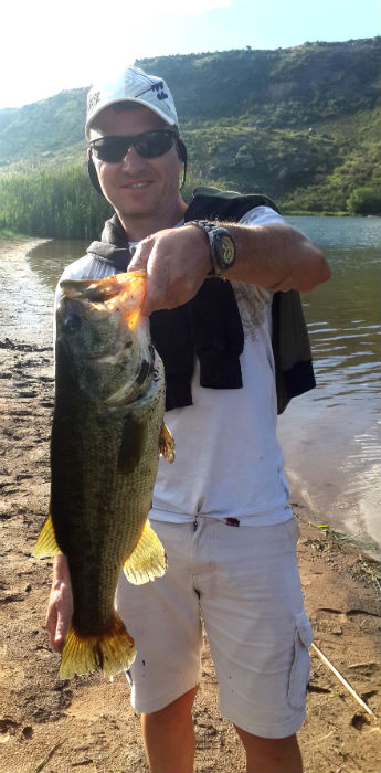 monster bass