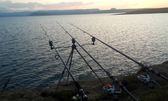 Sterkfontein Dam nature reserve fishing for carp with awesome view