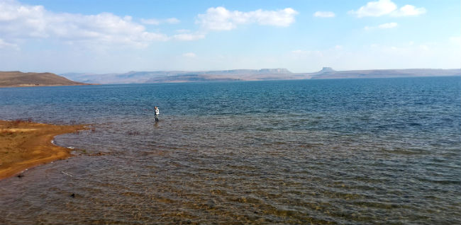 Sterkfontein Dam nature reserve flyfishing for yellowfish