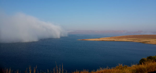 Sterkfontein Dam nature reserve mist