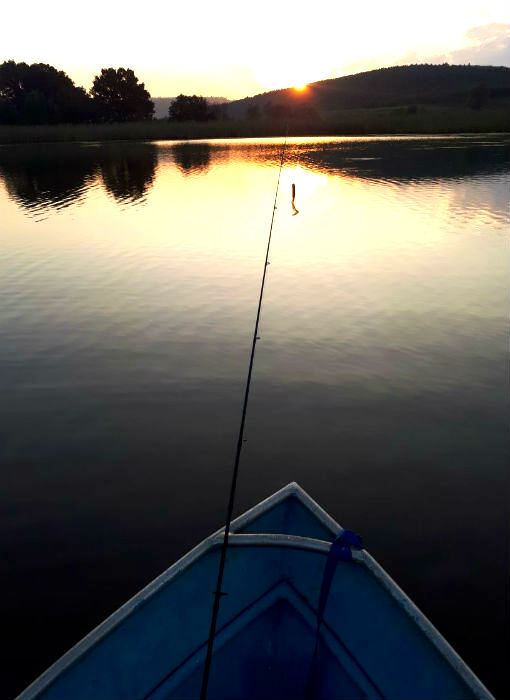 boat view