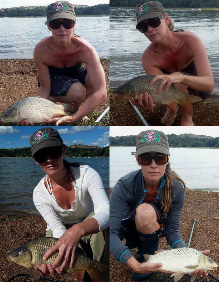 baja dam bronkhorstspruit dam carp