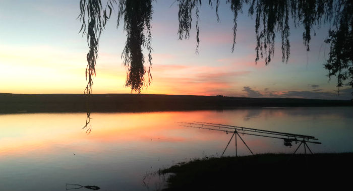 carp fishing with beautiful sunset