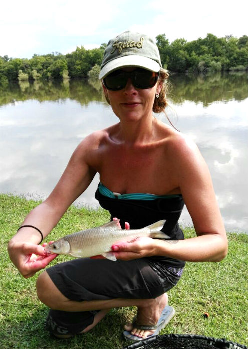 riverhouse vaal river smallmouth yellowfish