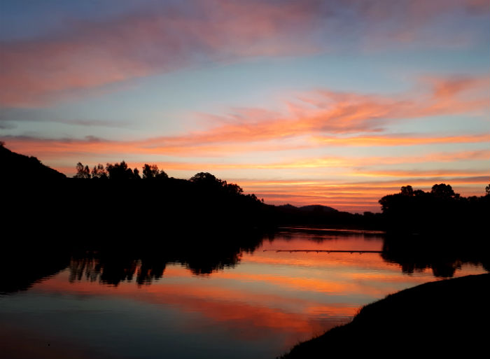 flamingos vaal river day one sunset