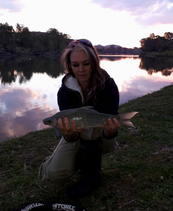 flamingos vaal river first mudfish