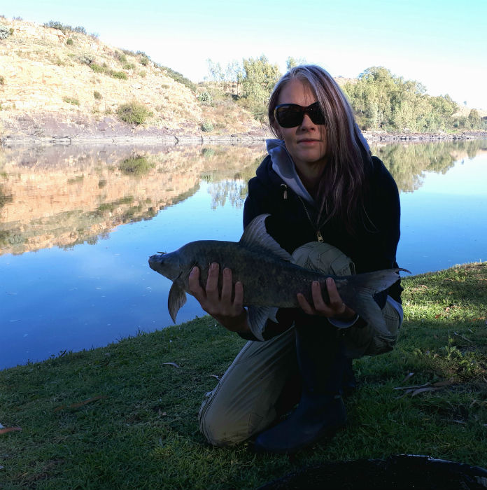 flamingos vaal river second mudfish