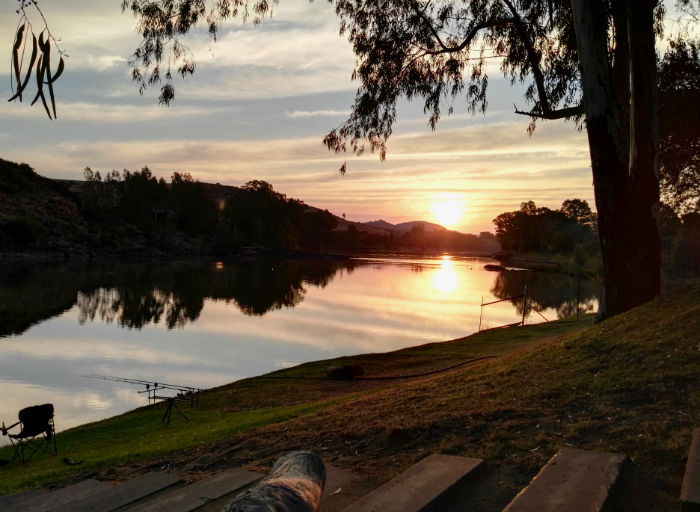 flamingos vaal river view from side