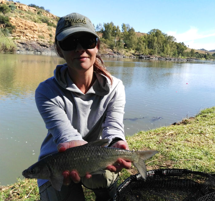 flamingos vaal river yellowfish