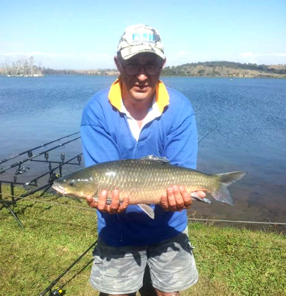 rietvlei dam yellowfish