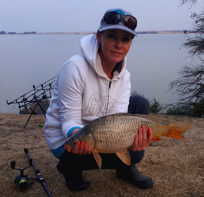 koppies dam nature reserve carp