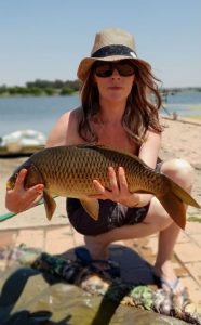 witbank dam another nice size carp