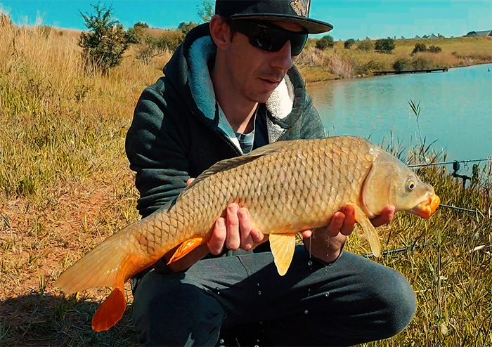 kloofzicht fishing carp