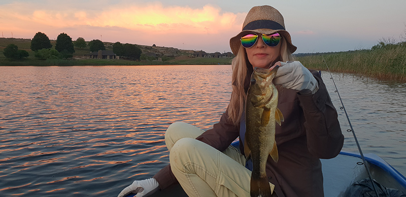 A small bass caught from the boat at sunset, Tolderia