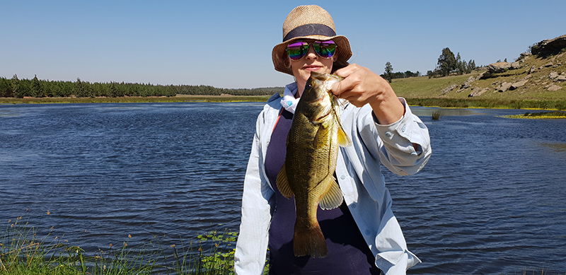 A nice bass caught in one of the smaller dams at Tolderia
