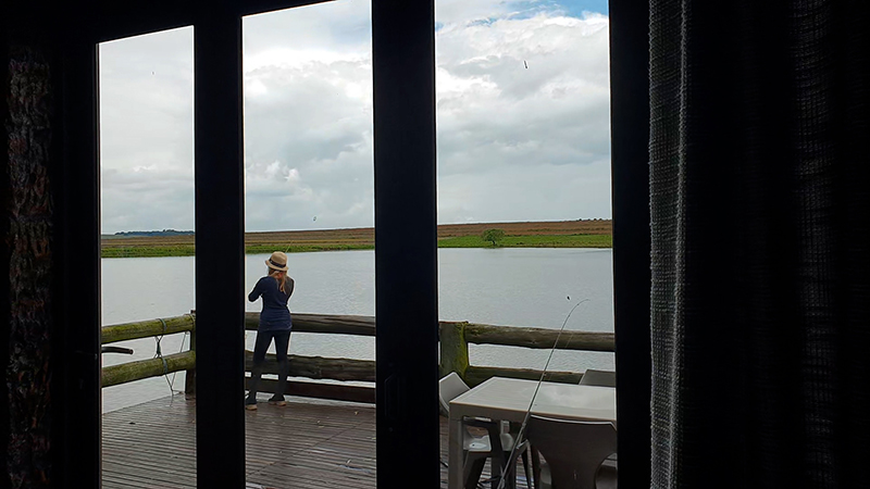 The view from the deck at Willow Tree Cottage