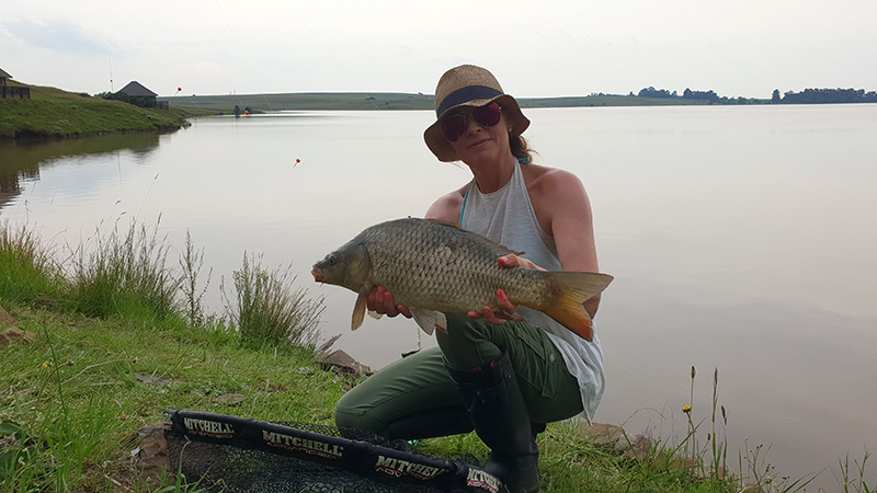 A nice common carp caught at Aqua Villa