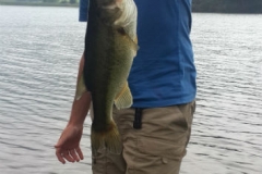 Bass caught from the front lawn