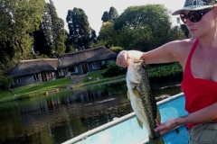 Beacon Vlei bass with view of house, and Cadbury the cat waiting patiently for our return