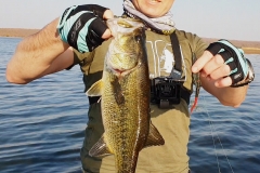 This bass took the fluke topwater