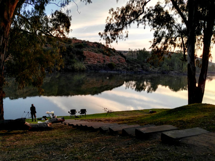 flamingos vaal river view from house