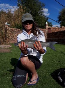 Oppiwalle – Vaal River – Jun 2018