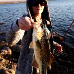 rietvlei dam bass fishing