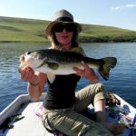 Mearns Dam fishing linky with big bass