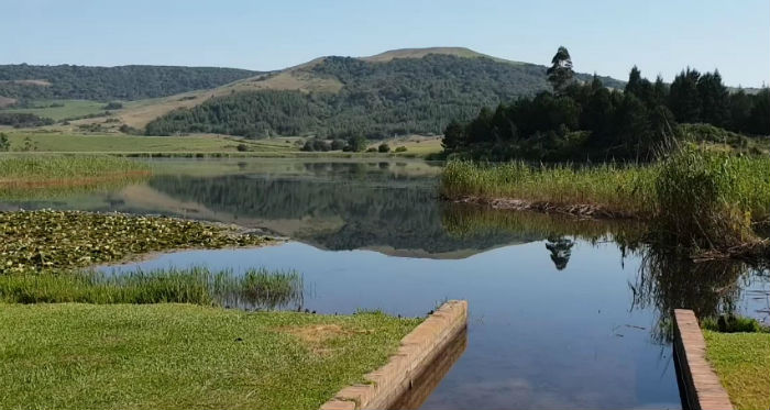 beacon vlei view