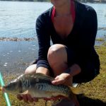 bronkhorstspruit dam baja dam small mirror carp linky