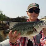 bronkhorstspruit dam nice bass linky