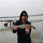 the retreat vaal dam baby barbel