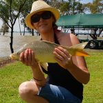 van der walts vaal dam linky carp 1