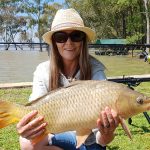 van der walts vaal dam linky carp