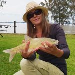 van der walts vaal dam linky yellow fish small