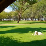 van der walts vaal dam view from porch