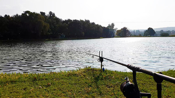 bergsig trout farm specimen carp dam fishing