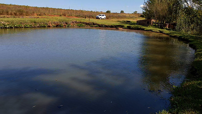 bergsig trout farm trout dam