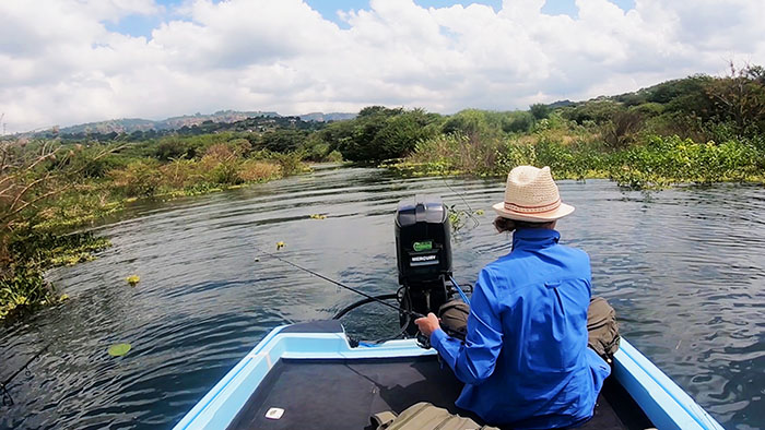 inanda dam river