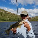 mountain rest linky baby bass 5